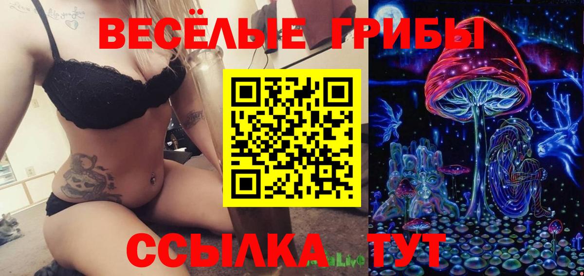 Псилоцибиновые грибы Psilocybine cubensis Рославль