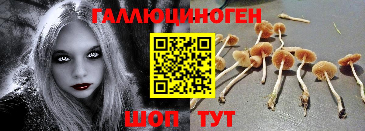 Рославль  Псилоцибиновые грибы мицелий  Вход с VPN  Галлюциногенные грибы Psilocybine cubensis 
